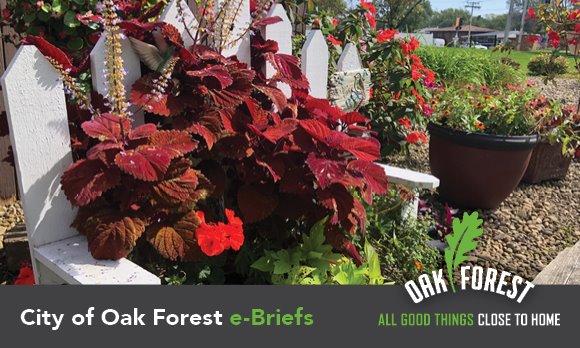 City of Oak Forest e-briefs