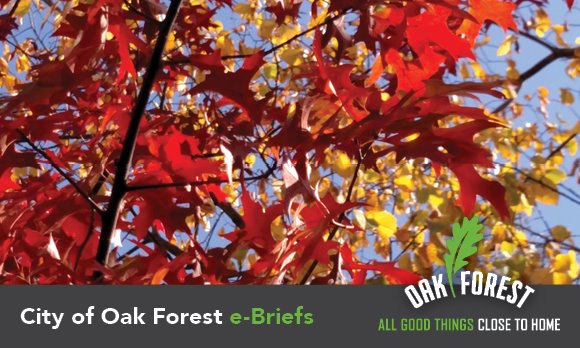 City of Oak Forest e-briefs
