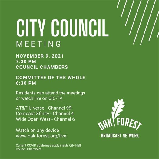 City Council Meeting