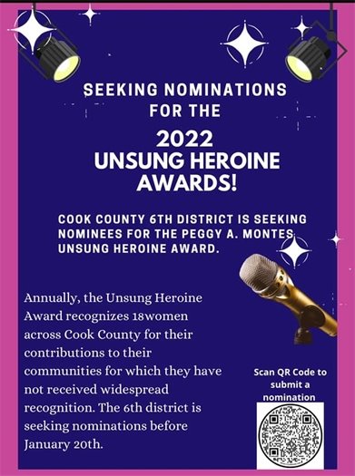 Unsung Heroines Nominations 