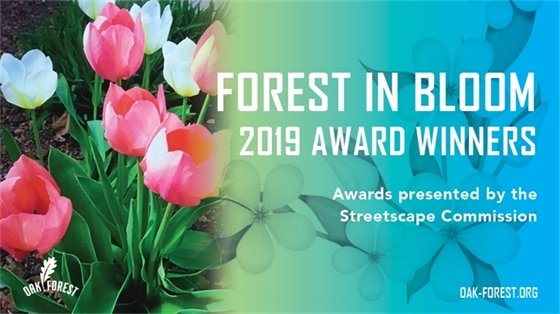 Forest In Bloom 2019 Winners