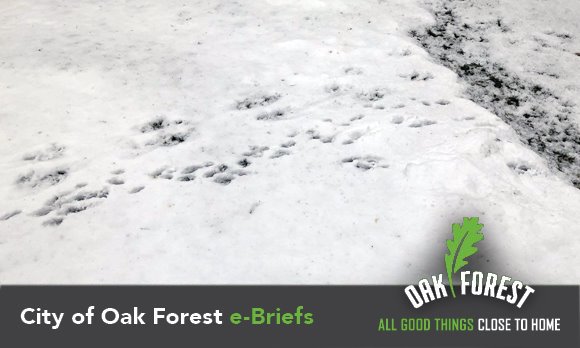 City of Oak Forest e-briefs