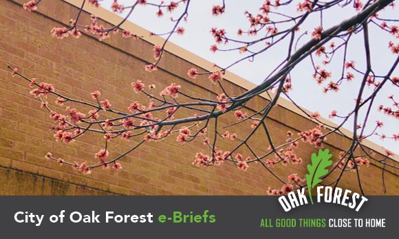City of Oak Forest e-briefs