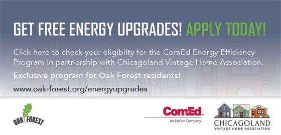 Chicagoland Vintage Home Association Energy Upgrades