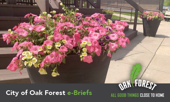 City of Oak Forest e-briefs