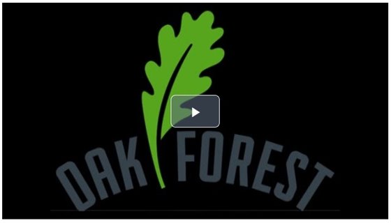 Committee of the Whole Video on Demand