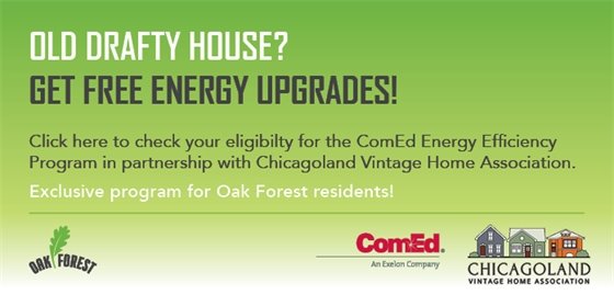 ComEd Energy Efficiency Program