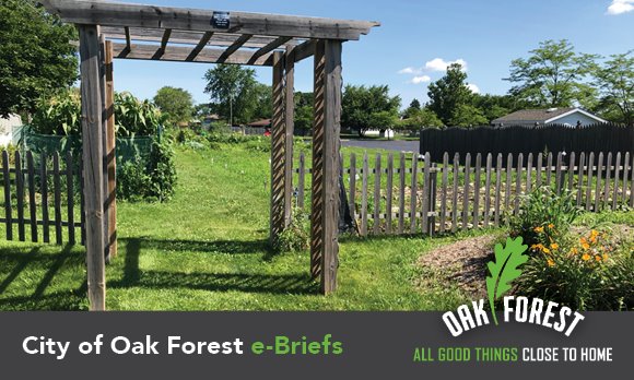 City of Oak Forest e-briefs