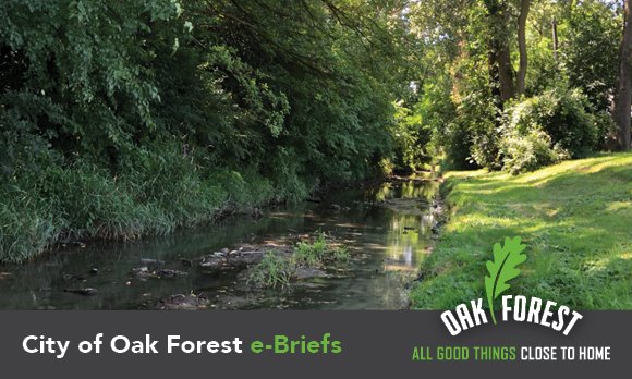 City of Oak Forest e-briefs