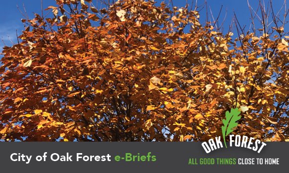 City of Oak Forest e-briefs