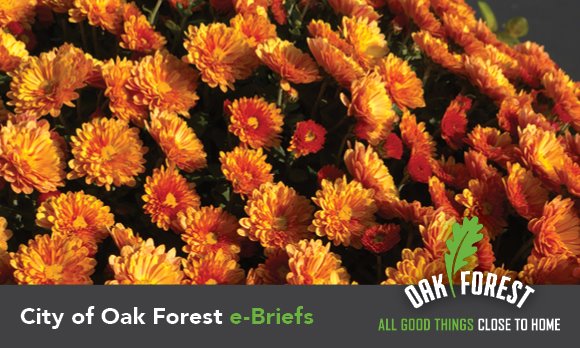 City of Oak Forest e-briefs