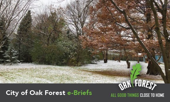 City of Oak Forest e-briefs