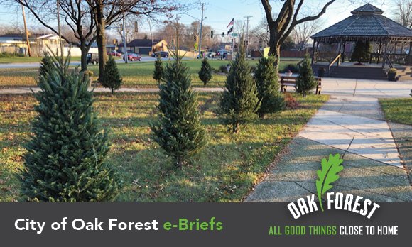 City of Oak Forest e-briefs