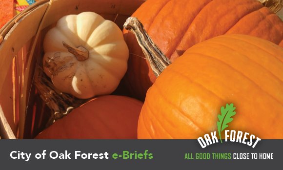 City of Oak Forest e-briefs