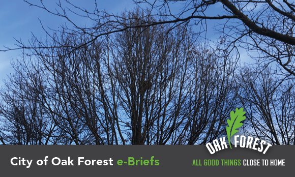 City of Oak Forest e-briefs