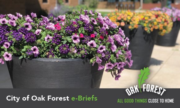City of Oak Forest e-briefs