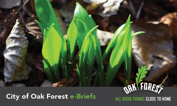 City of Oak Forest e-briefs