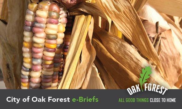 City of Oak Forest e-briefs