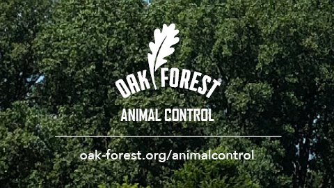 Oak Forest Animal Control