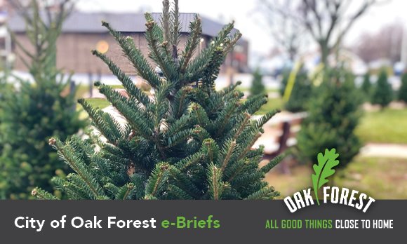 City of Oak Forest e-briefs