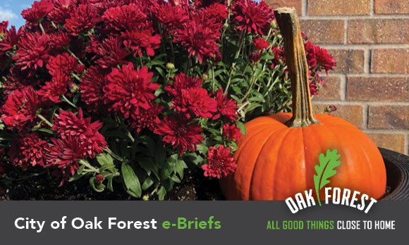 City of Oak Forest e-briefs
