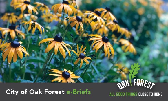City of Oak Forest e-briefs