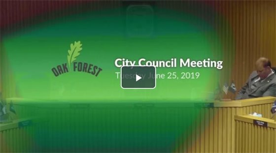 City Council Meeting Video June 25 2019