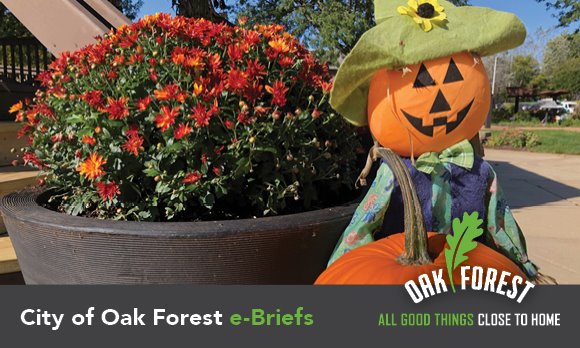 City of Oak Forest e-briefs