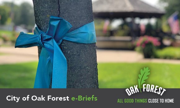 City of Oak Forest e-briefs