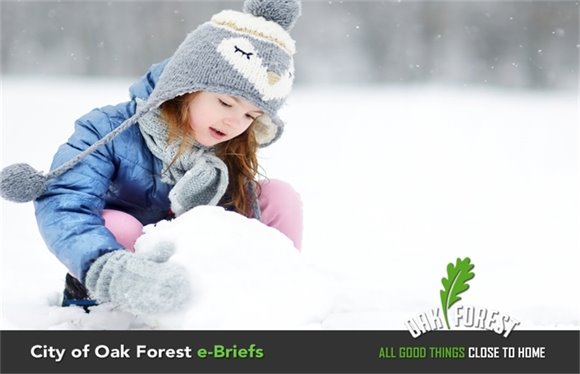 City of Oak Forest e-Briefs