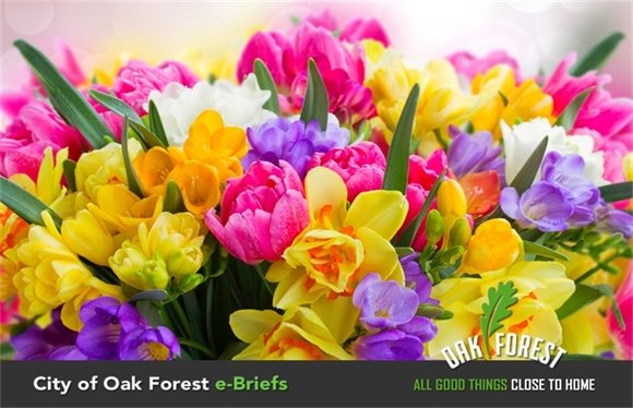City of Oak Forest e-Briefs