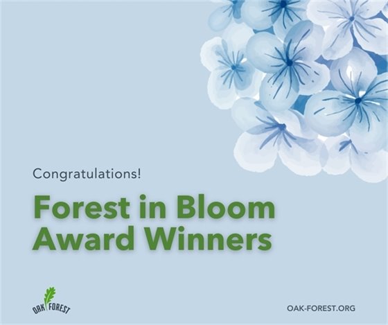 Forest in Bloom Award Winners