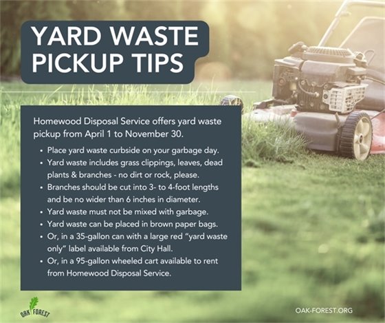 Yard Waste Pickup Tips