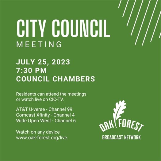 City Council Meeting