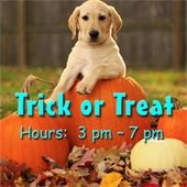 Trick or Treat Hours