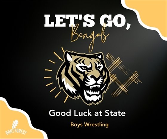 Good Luck at State: Boys Wrestling