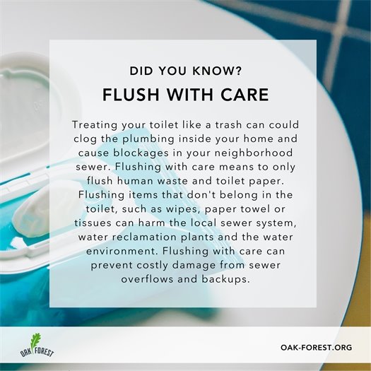 Did you Know: Flush with Care