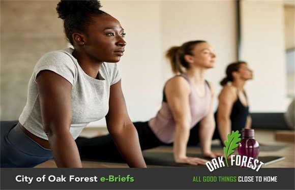 City of Oak Forest e-Briefs