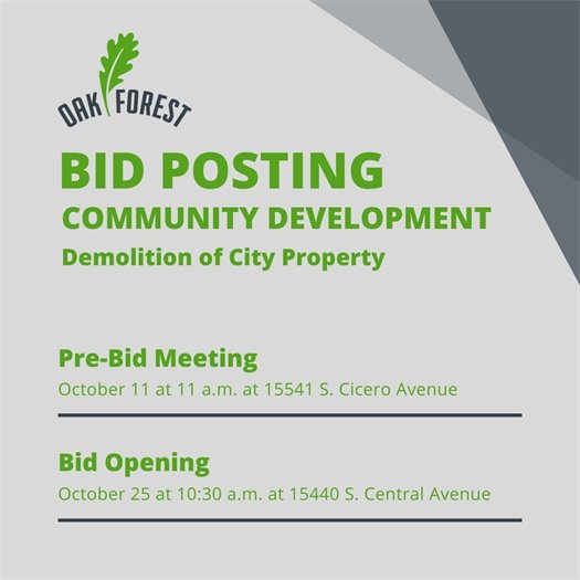 Demo of City Property Bid
