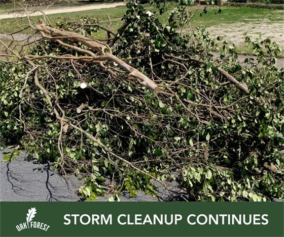 Storm Cleanup Continues