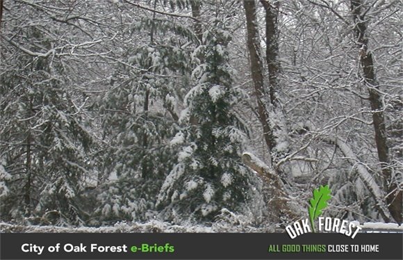 City of Oak Forest e-briefs