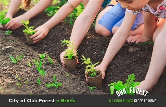 City of Oak Forest e-Briefs