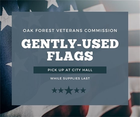 Gently Used Flags at City Hall