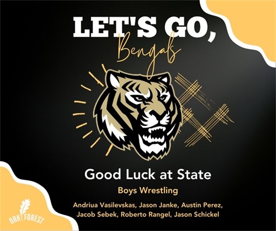 Good Luck at State: Boys Wrestling