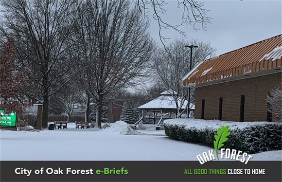 Snowfall in the City