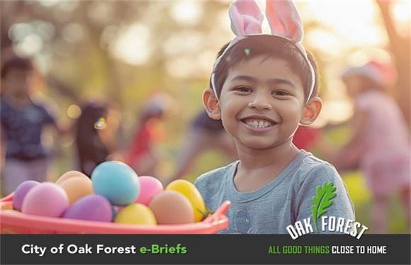 City of Oak Forest e-Briefs