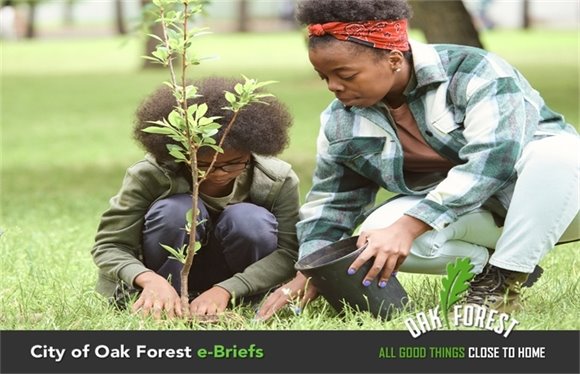 City of Oak Forest e-Briefs