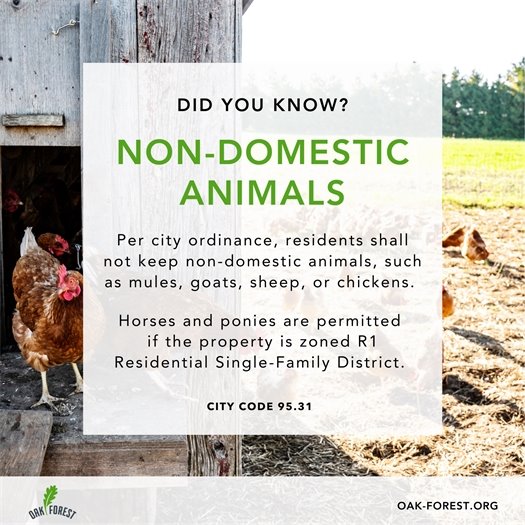 Did You Know: Non-Domestic Animals