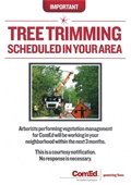ComEd Tree Trimming