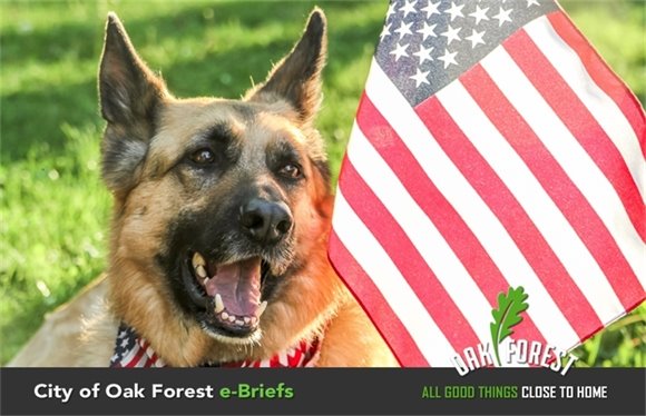 I Am An American Day Parade